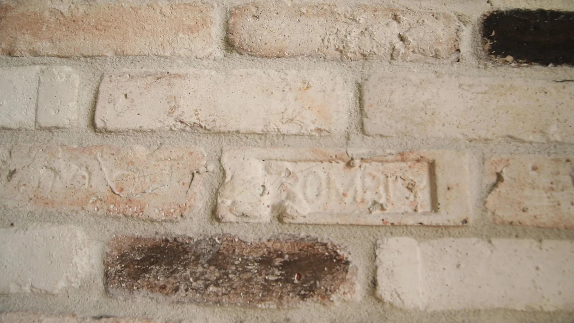 CHICAGO STYLE BRICK VENEERS- WHITE MIXED COLOR. Brick Decoration Design At It's Best. FREE SHIPPING!