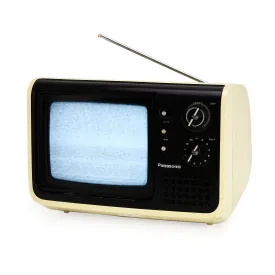Panasonic Portable Television