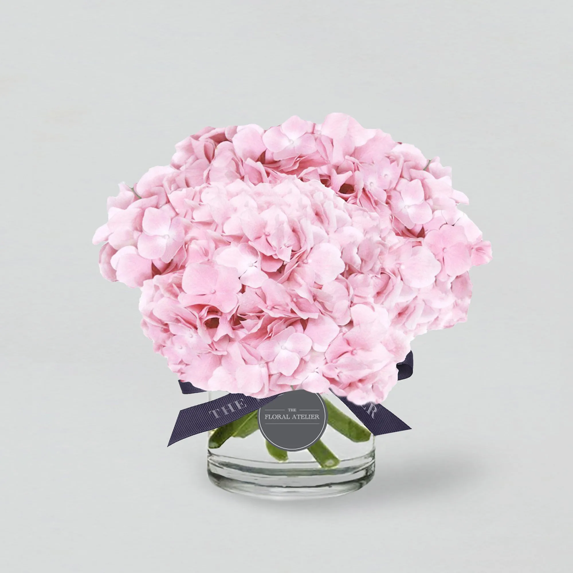 Pink Modern