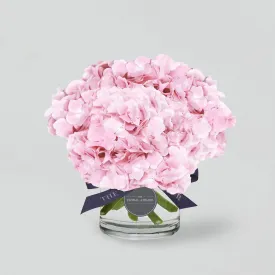 Pink Modern