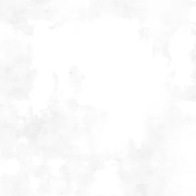 WHITE ON WHITE Dry Brush by Danhui Nai for Wilmington Prints